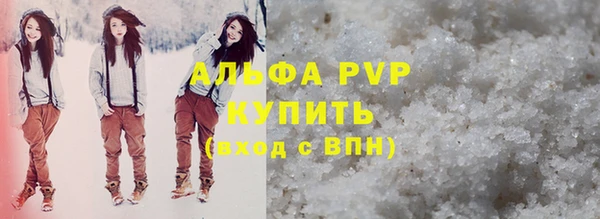 сатива Баксан