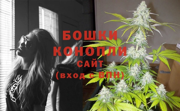 сатива Баксан