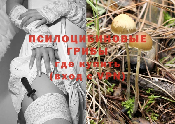 хмурый Балабаново