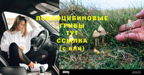 хмурый Балабаново
