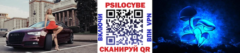 Галлюциногенные грибы Psilocybe Новотитаровская