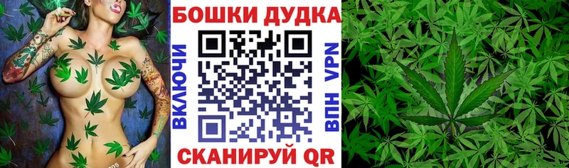 сайты даркнета наркотические препараты  наркотики  Новотитаровская  Каннабис SATIVA & INDICA 